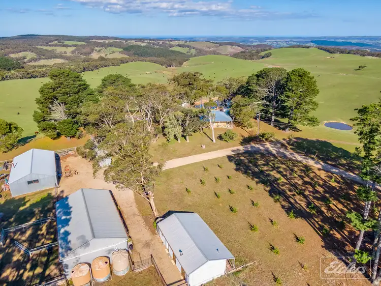 Second view of Homely rural property listing, 643 Springmount Road, Inman Valley SA 5211