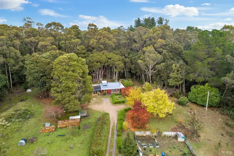 369 Beulah Road, Beulah TAS 7306