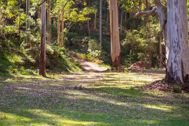 Lot 5 DP 730372 Putty Valley Road, Putty NSW 2330