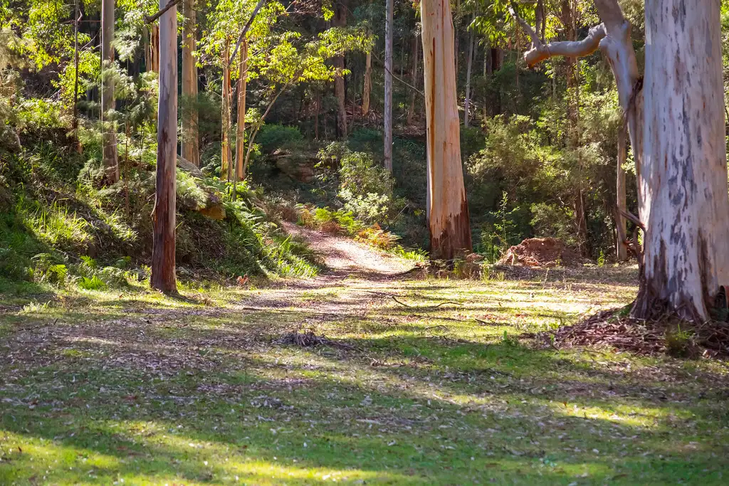 Main view of Homely land listing, Lot 5 DP 730372 Putty Valley Road, Putty NSW 2330