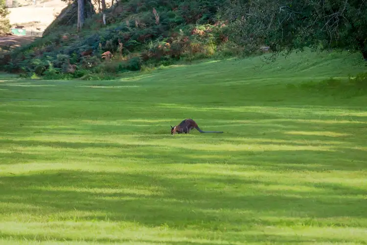 Second view of Homely land listing, Lot 5 DP 730372 Putty Valley Road, Putty NSW 2330