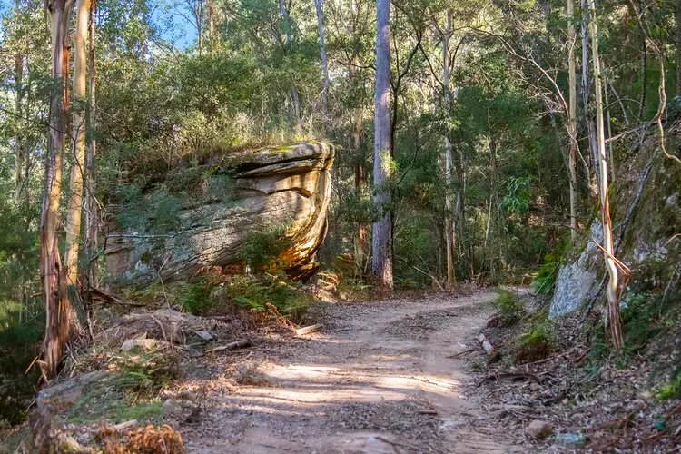 Fifth view of Homely land listing, Lot 5 DP 730372 Putty Valley Road, Putty NSW 2330