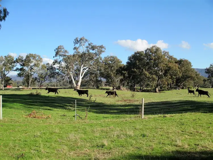 Fourth view of Homely rural property listing, 188 Whanregarwen Road, Alexandra VIC 3714