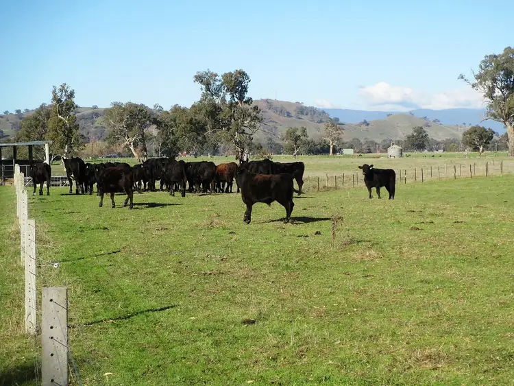 Seventh view of Homely rural property listing, 188 Whanregarwen Road, Alexandra VIC 3714