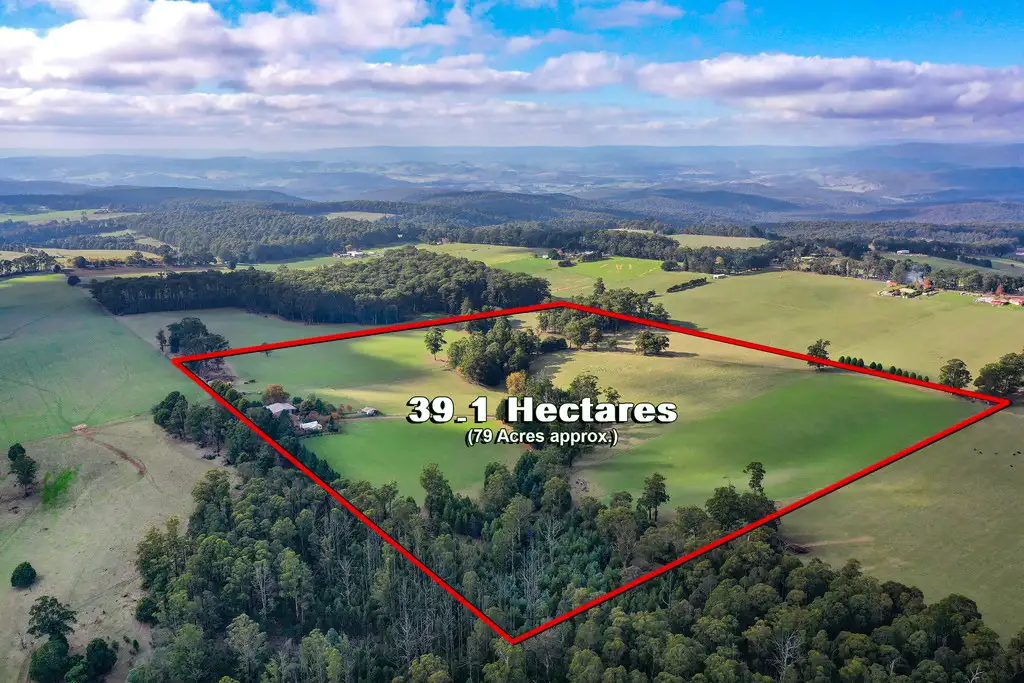Main view of Homely rural property listing, 41 CUMMINS CREEK ROAD, Kinglake Central VIC 3757