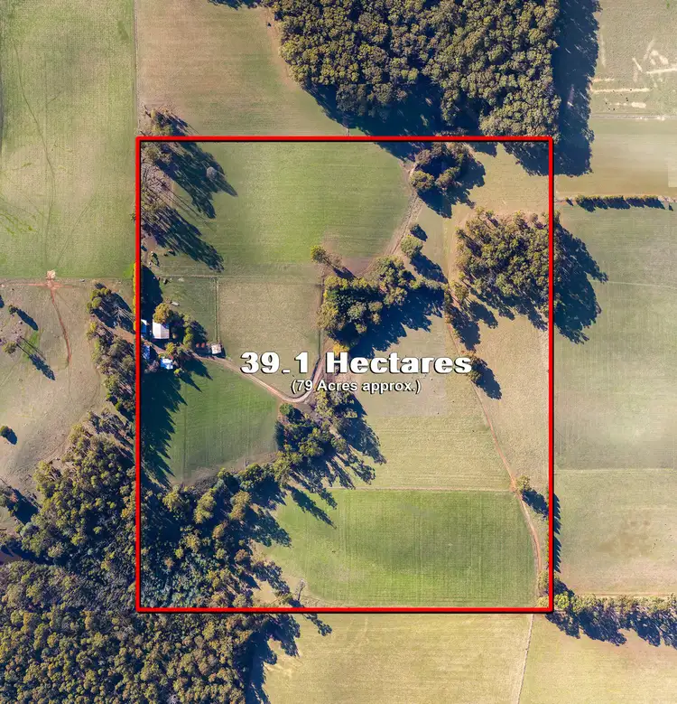 Fourth view of Homely rural property listing, 41 CUMMINS CREEK ROAD, Kinglake Central VIC 3757