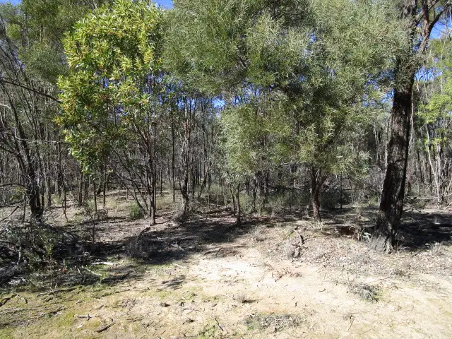 Third view of Homely rural property listing, LOT 21 KEESHANS RD, GORANBA, Tara QLD 4421