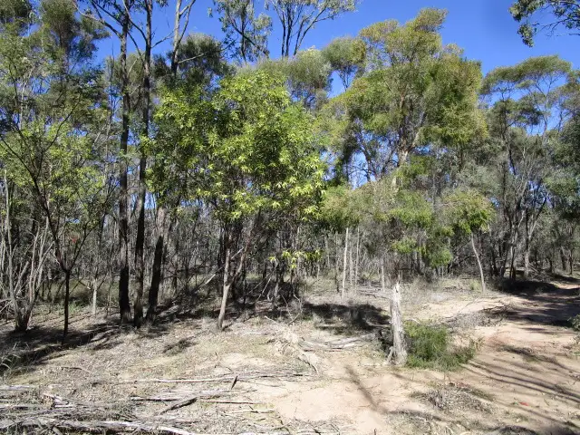 Fourth view of Homely rural property listing, LOT 21 KEESHANS RD, GORANBA, Tara QLD 4421