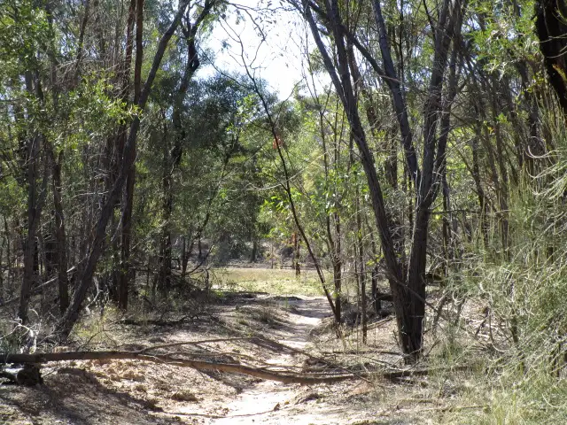 Fifth view of Homely rural property listing, LOT 21 KEESHANS RD, GORANBA, Tara QLD 4421