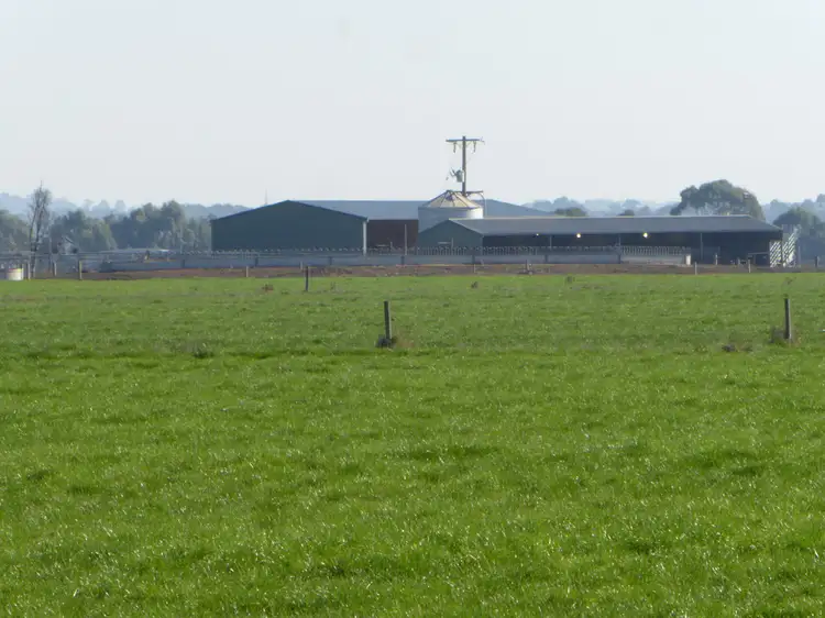 1129 Terang Road, Cobden VIC 3266