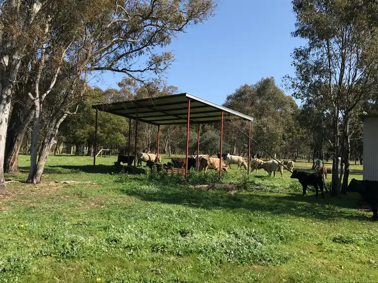 Seventh view of Homely rural property listing, Lot 3 Wilkinsons Lane, Euroa VIC 3666