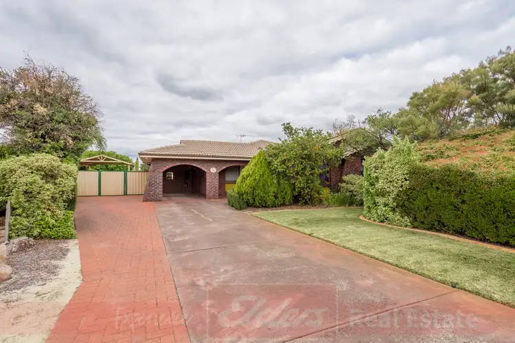 Main view of Homely house listing, 16 Archer Street, Collie WA 6225
