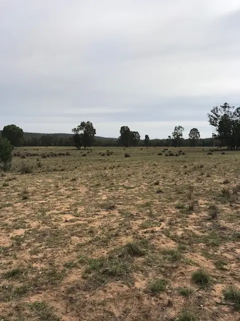 Sixth view of Homely rural property listing, 883 Yaminbah Road, Rocky Glen NSW 2357