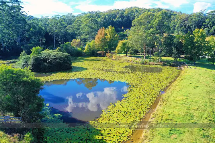 Fourth view of Homely rural property listing, 610 Wootton Way 'Forest Lodge', Wootton NSW 2423