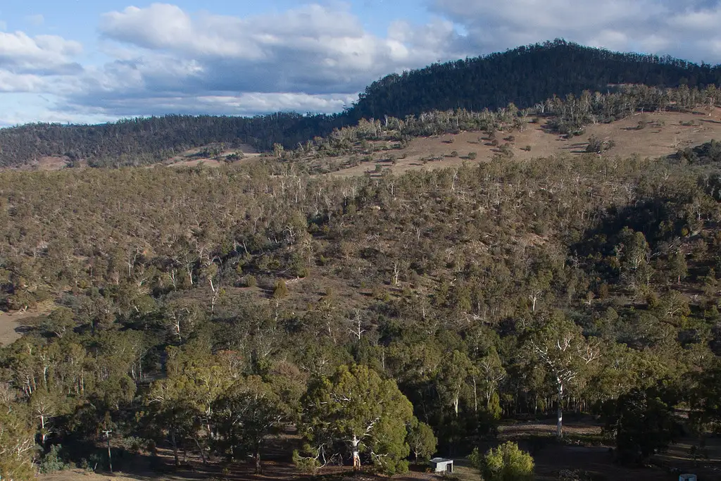 Main view of Homely land listing, Lot 2 Hall Lane, Bagdad TAS 7030