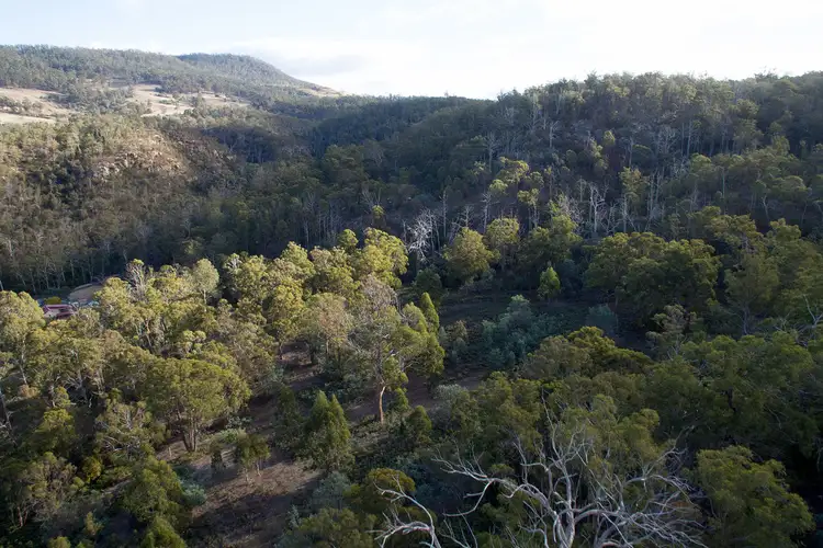Second view of Homely land listing, Lot 2 Hall Lane, Bagdad TAS 7030