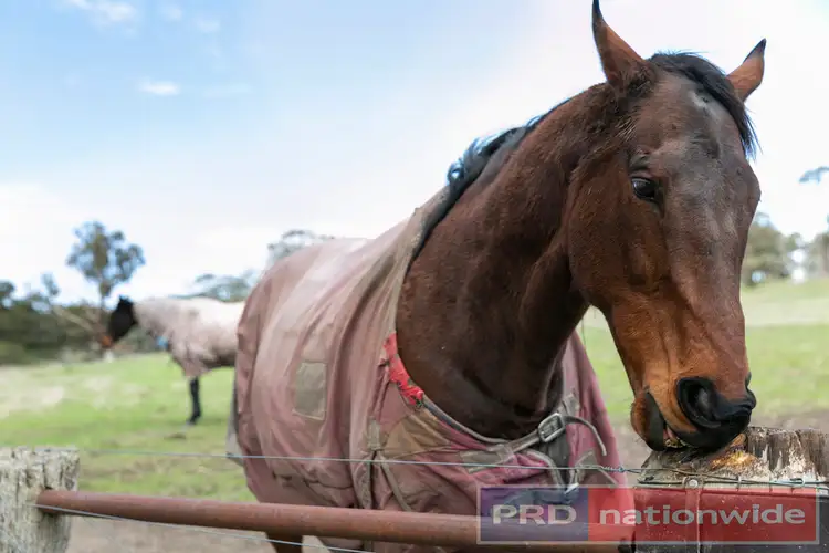 Sixth view of Homely land listing, Lot 9 Slatey Creek Road North, Invermay VIC 3352