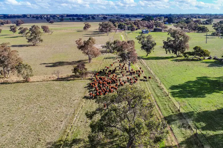 Main view of Homely rural property listing, 1591 Lucindale Road, Spence SA 5271