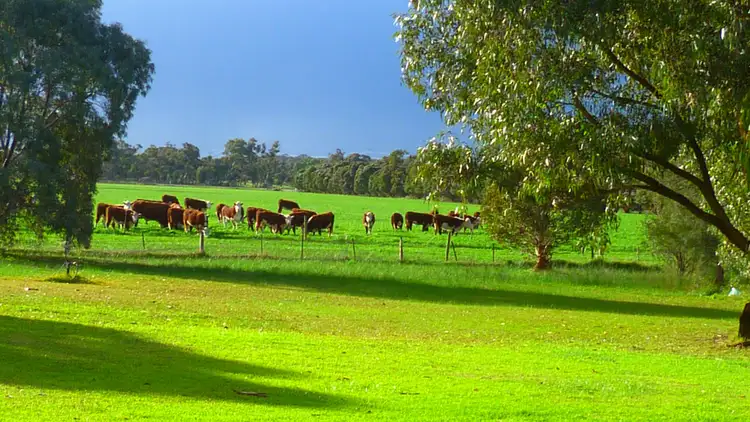 Fourth view of Homely rural property listing, 1591 Lucindale Road, Spence SA 5271