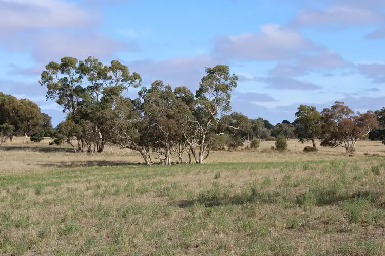 Sixth view of Homely rural property listing, 1591 Lucindale Road, Spence SA 5271