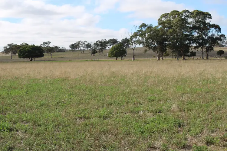 Seventh view of Homely rural property listing, 1591 Lucindale Road, Spence SA 5271