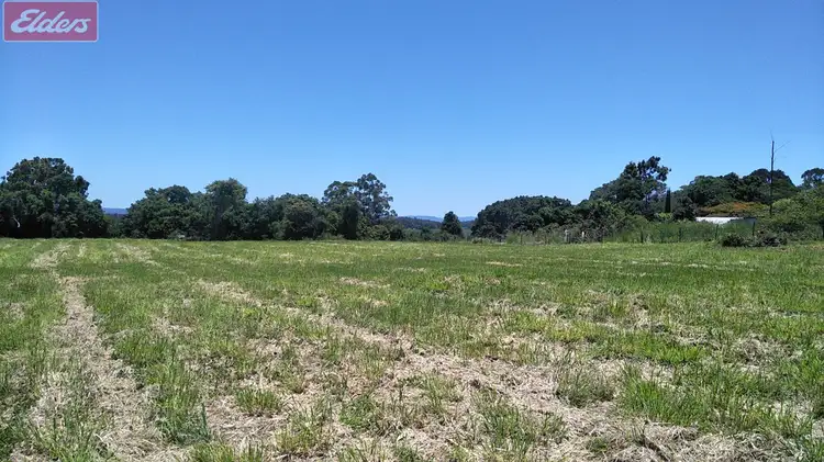 Seventh view of Homely land listing, 543 BLACK MOUNTAIN ROAD, Black Mountain QLD 4563