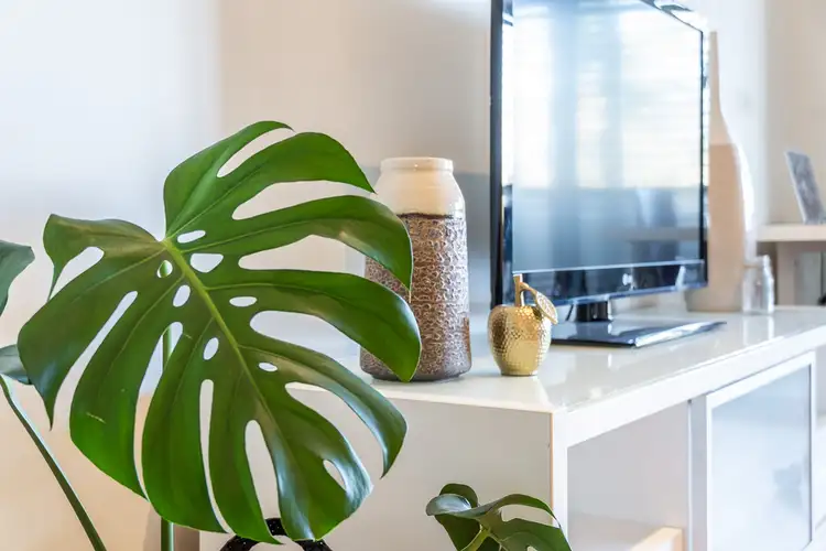 Fourth view of Homely apartment listing, 9/346 Barker Road, Subiaco WA 6008