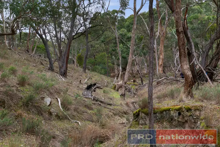 Fourth view of Homely land listing, Lots 1 & 2 Snowgum Road, Dereel VIC 3352