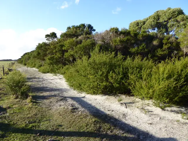 Main view of Homely land listing, Lot 1 Darts Road, Lady Barron TAS 7255