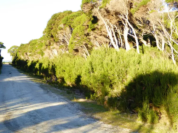 Sixth view of Homely land listing, Lot 1 Darts Road, Lady Barron TAS 7255