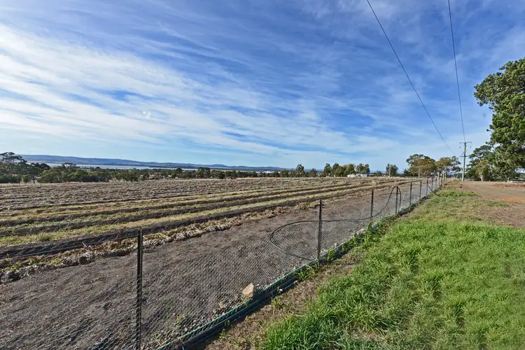 Second view of Homely house listing, 76 Backhouse Lane, Cambridge TAS 7170