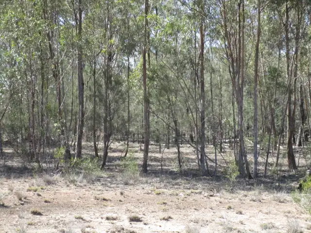 Fourth view of Homely rural property listing, 284 BUNGYBAH RD WERANGA, Tara QLD 4421