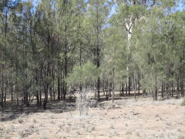 Fifth view of Homely rural property listing, 284 BUNGYBAH RD WERANGA, Tara QLD 4421