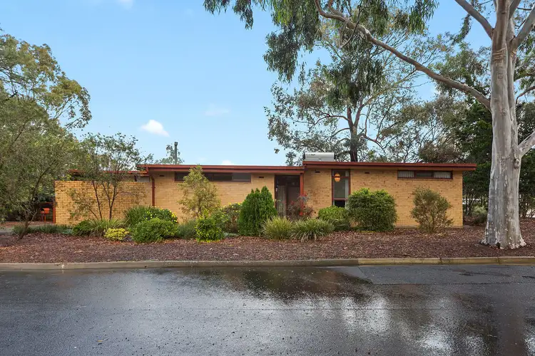 8 Hillside Drive, Campbelltown SA 5074