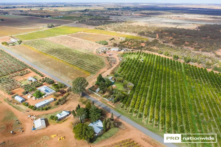 Fourth view of Homely rural property listing, 385 Westcliffs Avenue, Cardross VIC 3496