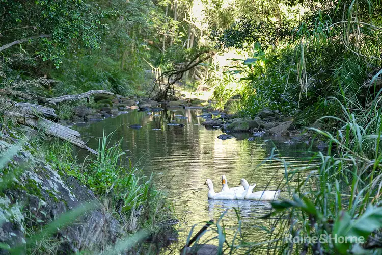 Fifth view of Homely rural property listing, 1294 Main Arm Road, Upper Main Arm NSW 2482