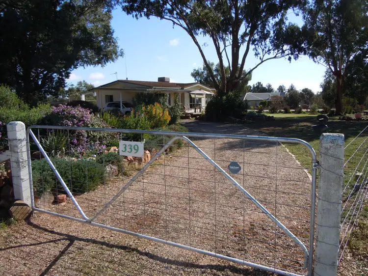 Main view of Homely house listing, 339 Pine Hill Road, Narrandera NSW 2700