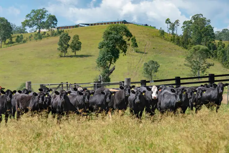 Sixth view of Homely rural property listing, 1344 Bakers Creek Road, Gloucester NSW 2422