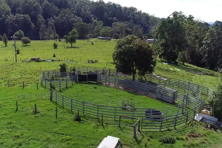 Seventh view of Homely rural property listing, 16 Ironbark rd, Mount Burrell NSW 2484