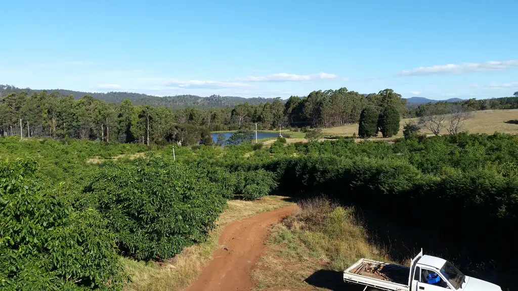 Main view of Homely rural property listing, 1158 Bridgenorth Road, Bridgenorth TAS 7277