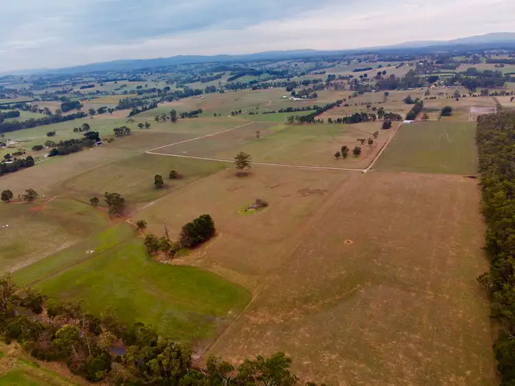 Fourth view of Homely rural property listing, 139 acres Stuhrs Road, Darnum VIC 3822
