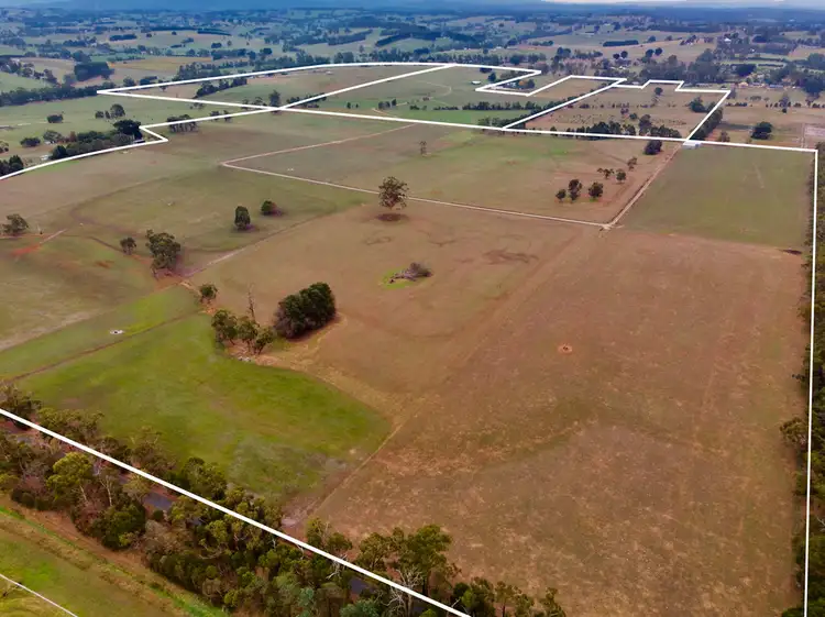 Fifth view of Homely rural property listing, 139 acres Stuhrs Road, Darnum VIC 3822