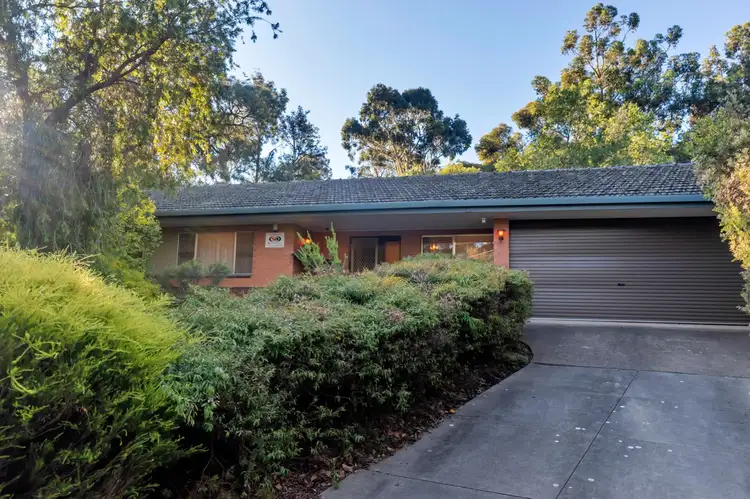 Main view of Homely house listing, 36 Meadow Avenue, Hawthorndene SA 5051