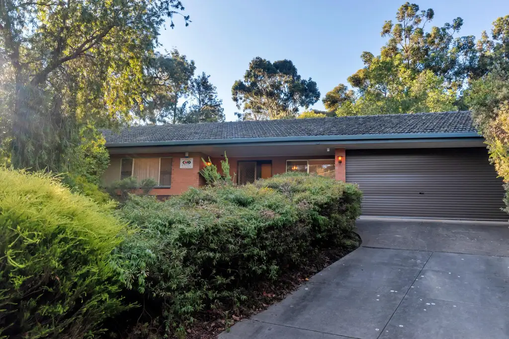 Main view of Homely house listing, 36 Meadow Avenue, Hawthorndene SA 5051