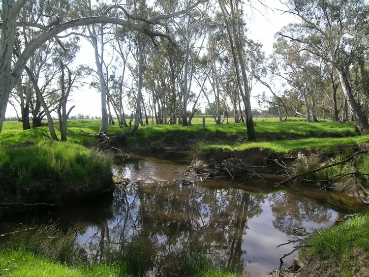 Fifth view of Homely rural property listing, 56 Summer Road, Arcadia South VIC 3631