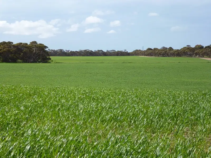 Main view of Homely rural property listing, Sect 519 Flagstaff Rd, Murray Bridge SA 5253