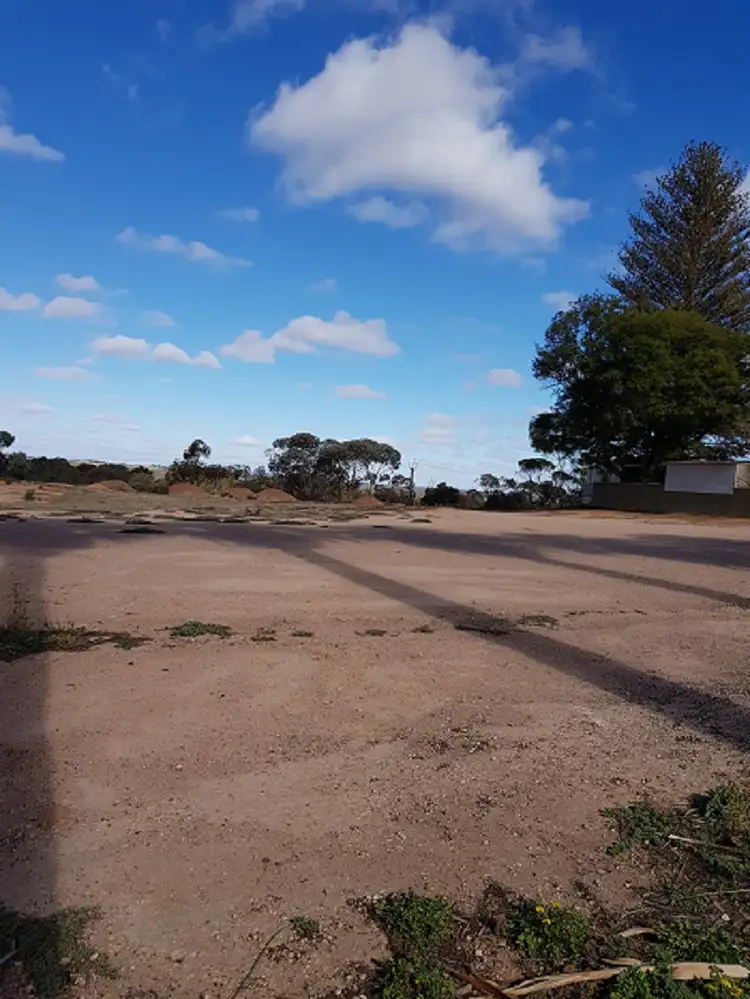 Main view of Homely other listing, Section 1419, Old Sturt Highway, Berri SA 5343