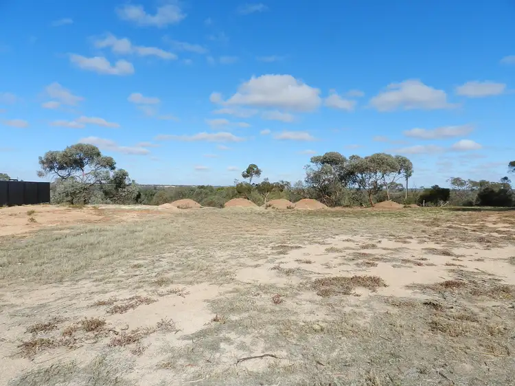 Third view of Homely other listing, Section 1419, Old Sturt Highway, Berri SA 5343