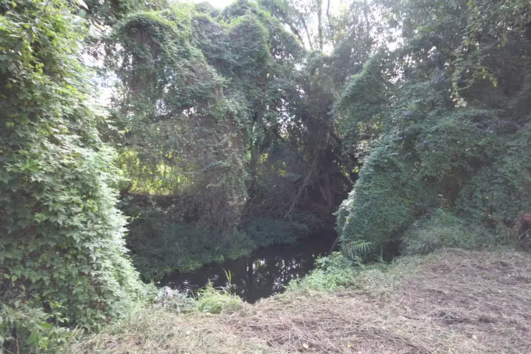 Fifth view of Homely land listing, 26 Fernvale Drive, Pie Creek QLD 4570