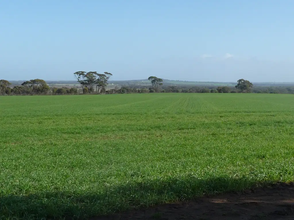 Main view of Homely rural property listing, New Lots 4 & 5 Great Southern Highway, Kokeby WA 6304